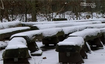 plaatje: Video: Sfeerimpressie Natuurbegraafplaats Bergerbos in St.Odili�nberg